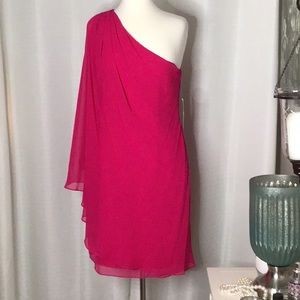 Lauren Ralph Lauren Cocktail Dress (NWT)